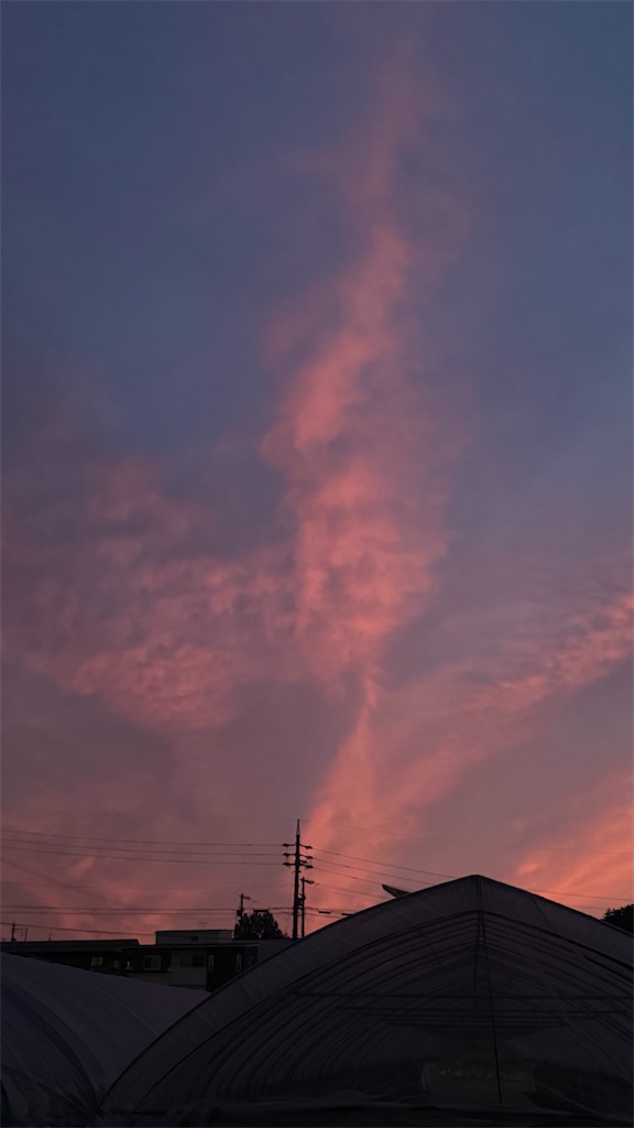 f:id:swnm8:20260813160948j:image f:id:swnm8:20260813160948j:image