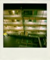 [POLADROID]