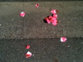 [iPhone3GS]