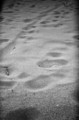 [HOLGA135]