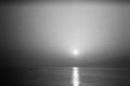 [HOLGA135]