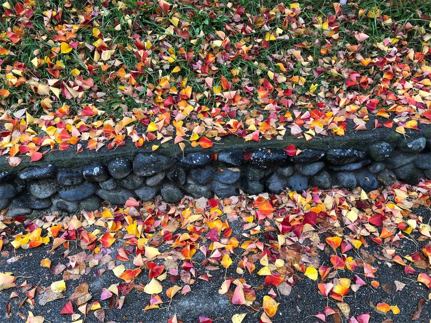 f:id:swordfish-002:20171113014352j:image