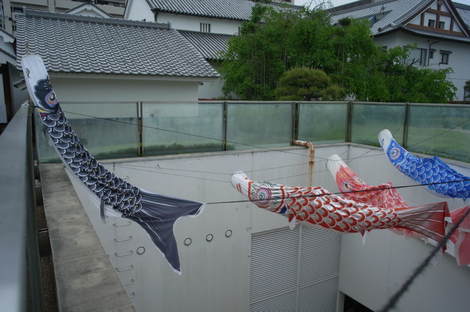 こいのぼり こいのぼり