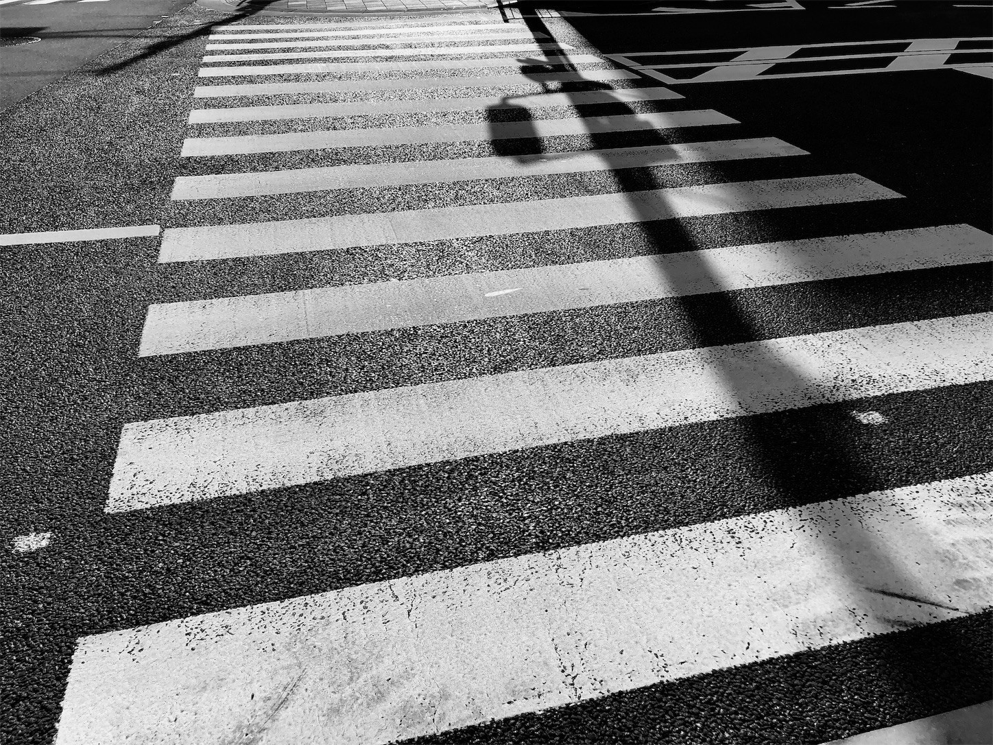 横断歩道