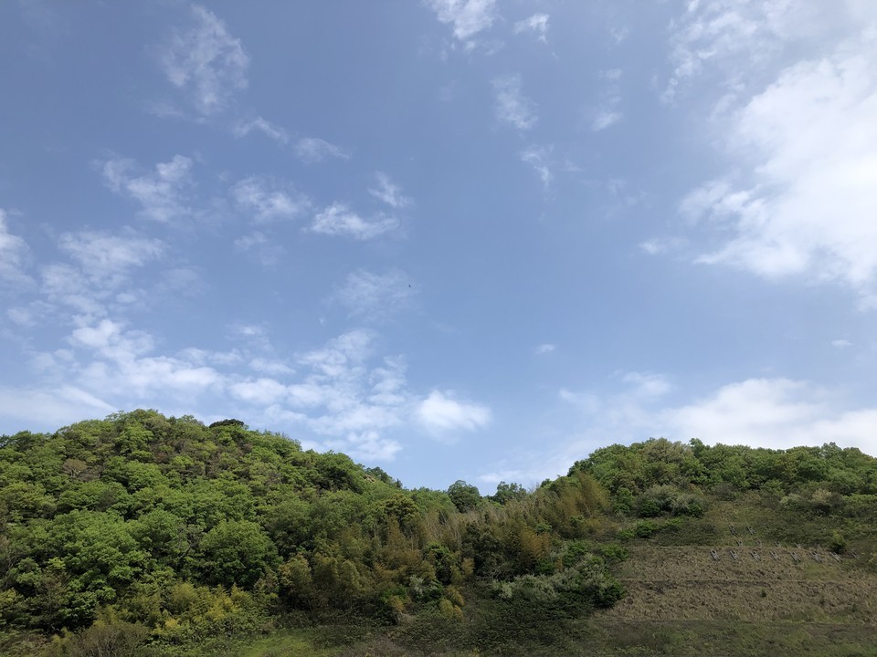 夏空