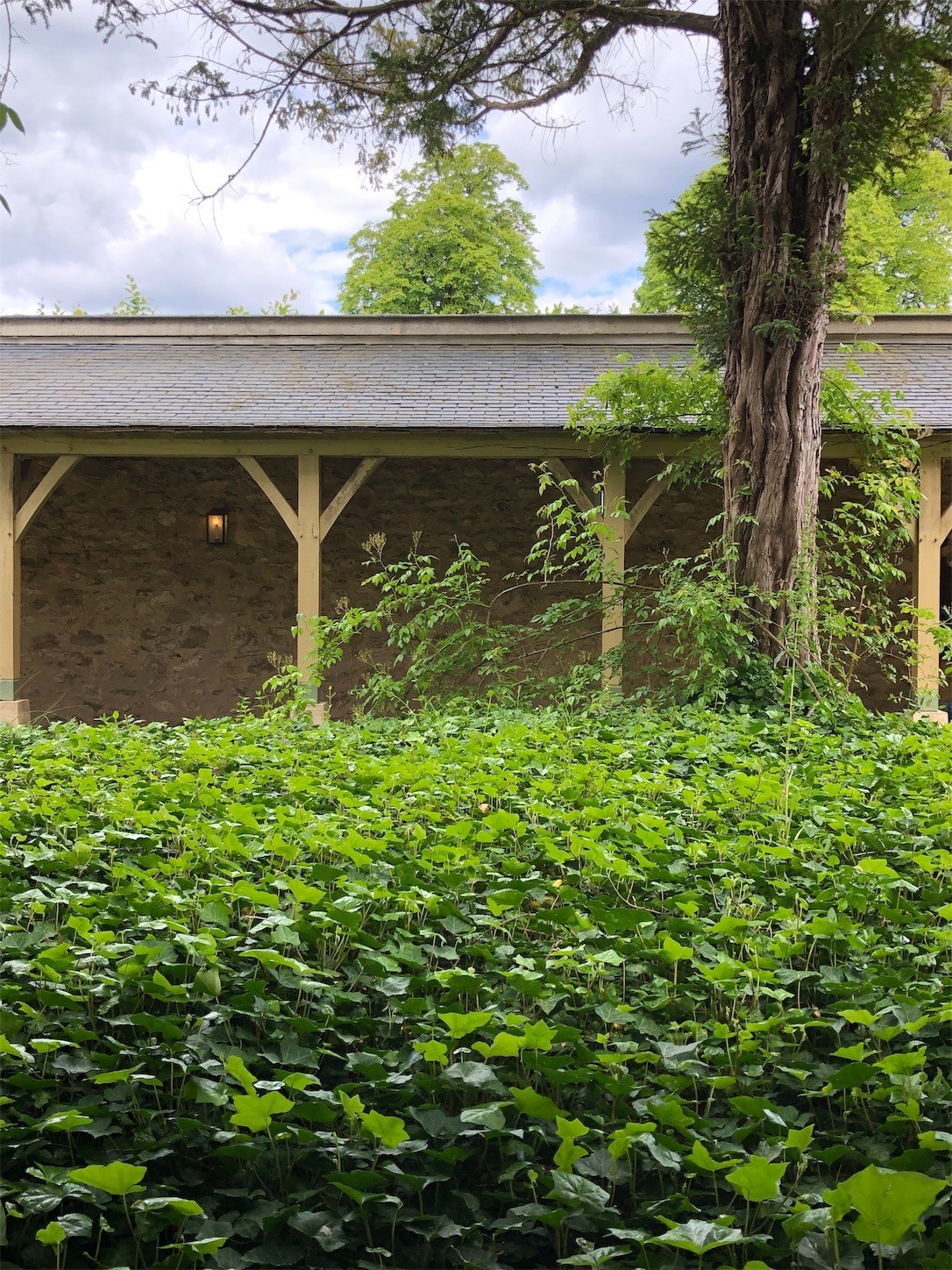 f:id:swordfish-002:20190618005529j:image f:id:swordfish-002:20190618005529j:image