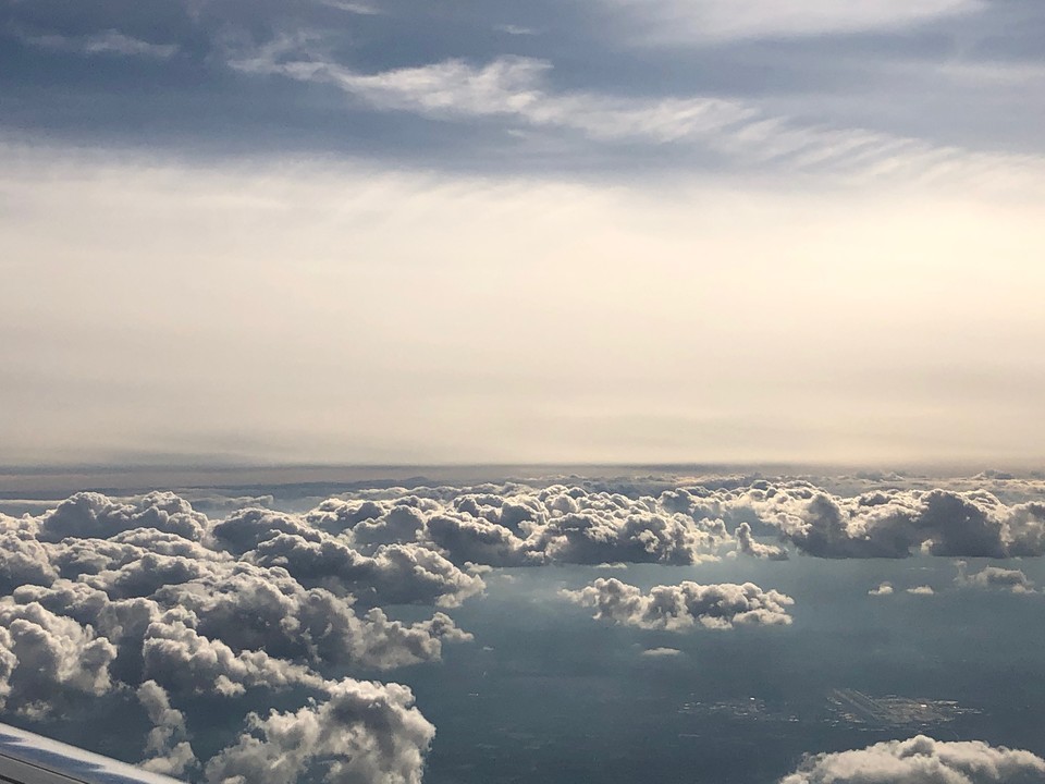 f:id:swordfish-002:20190620010610j:plain f:id:swordfish-002:20190620010610j:plain