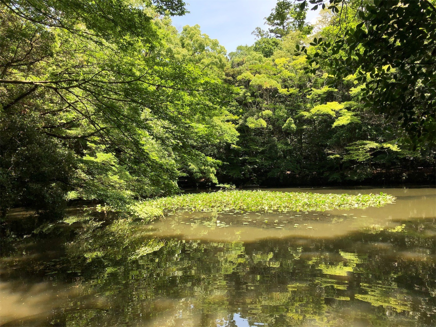 f:id:swordfish-002:20190628091332j:image f:id:swordfish-002:20190628091332j:image