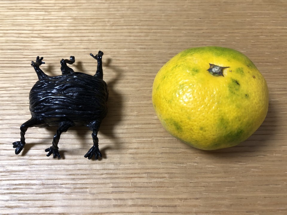 f:id:swordfish-002:20191008111251j:plain f:id:swordfish-002:20191008111251j:plain