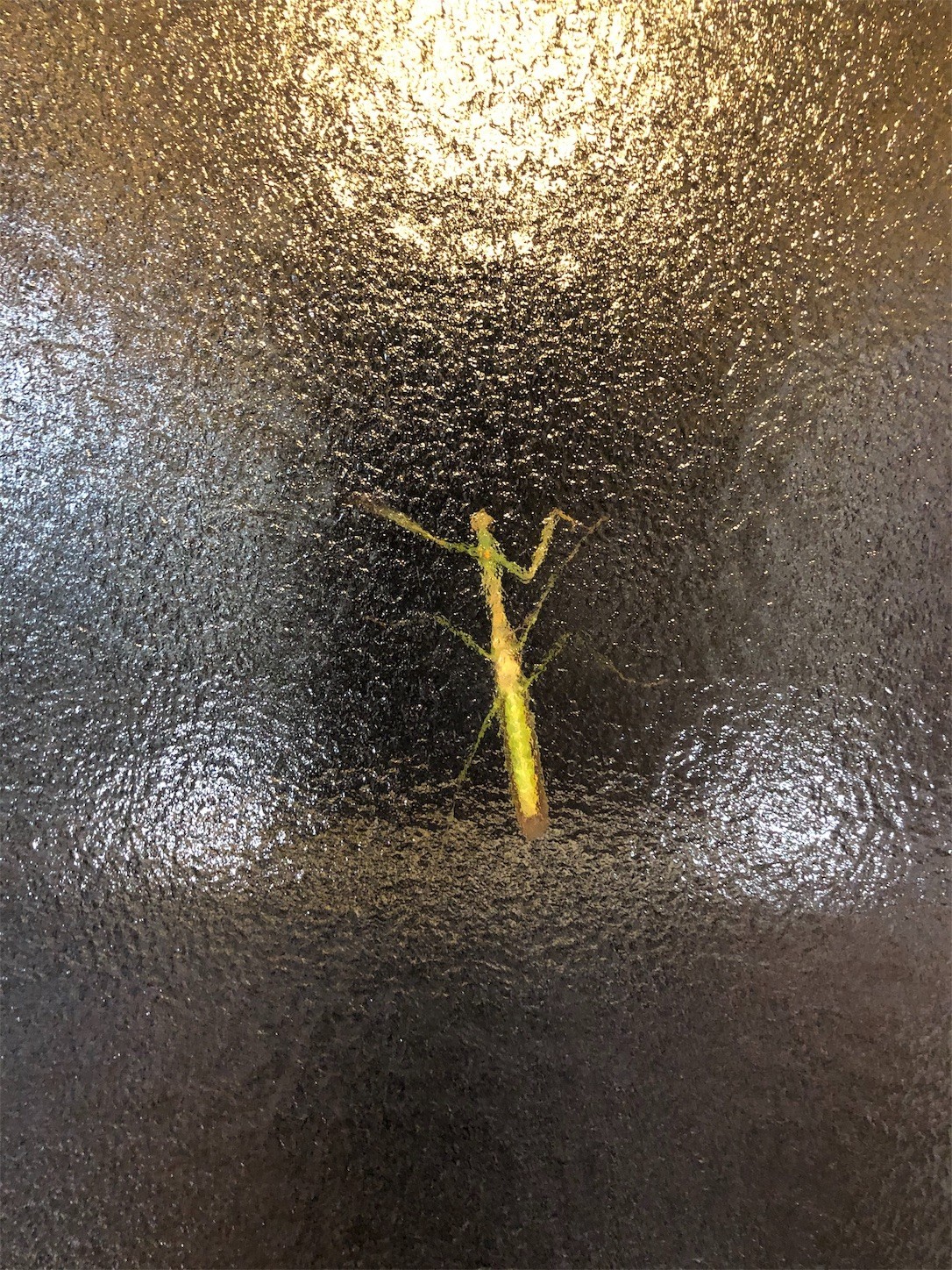 f:id:swordfish-002:20191009124917j:image f:id:swordfish-002:20191009124917j:image