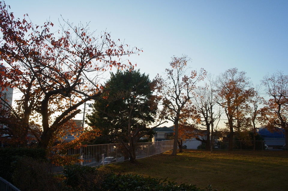 夕暮れの公園