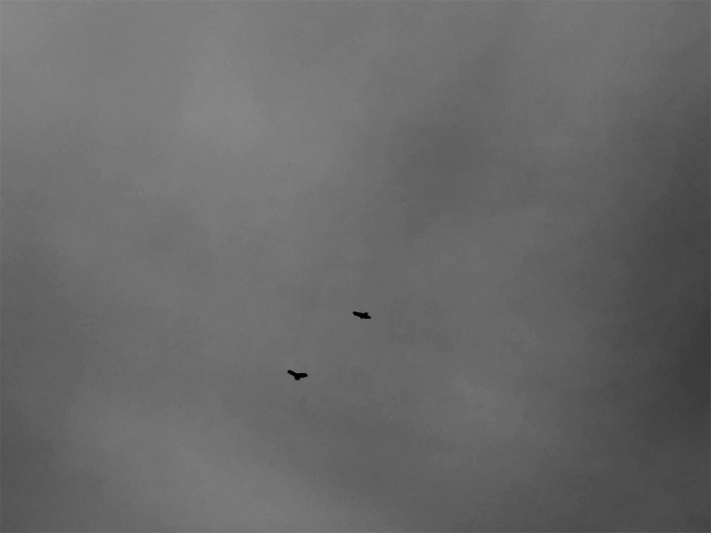 f:id:swordfish-002:20191230105509j:image