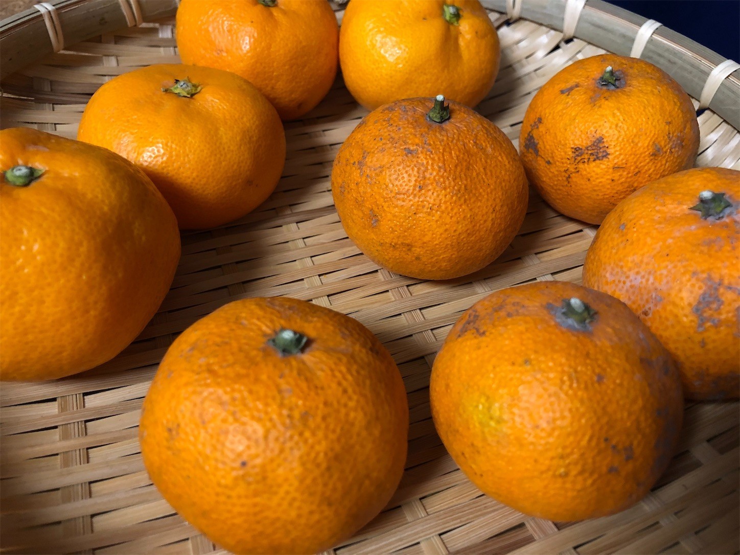 f:id:swordfish-002:20200102182357j:image f:id:swordfish-002:20200102182357j:image