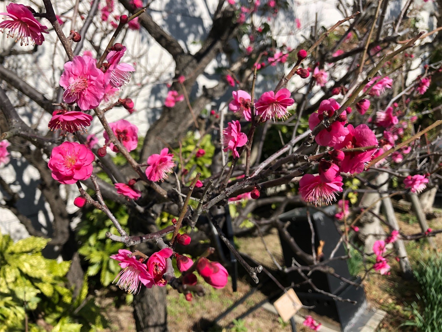 f:id:swordfish-002:20200130130728j:image f:id:swordfish-002:20200130130728j:image