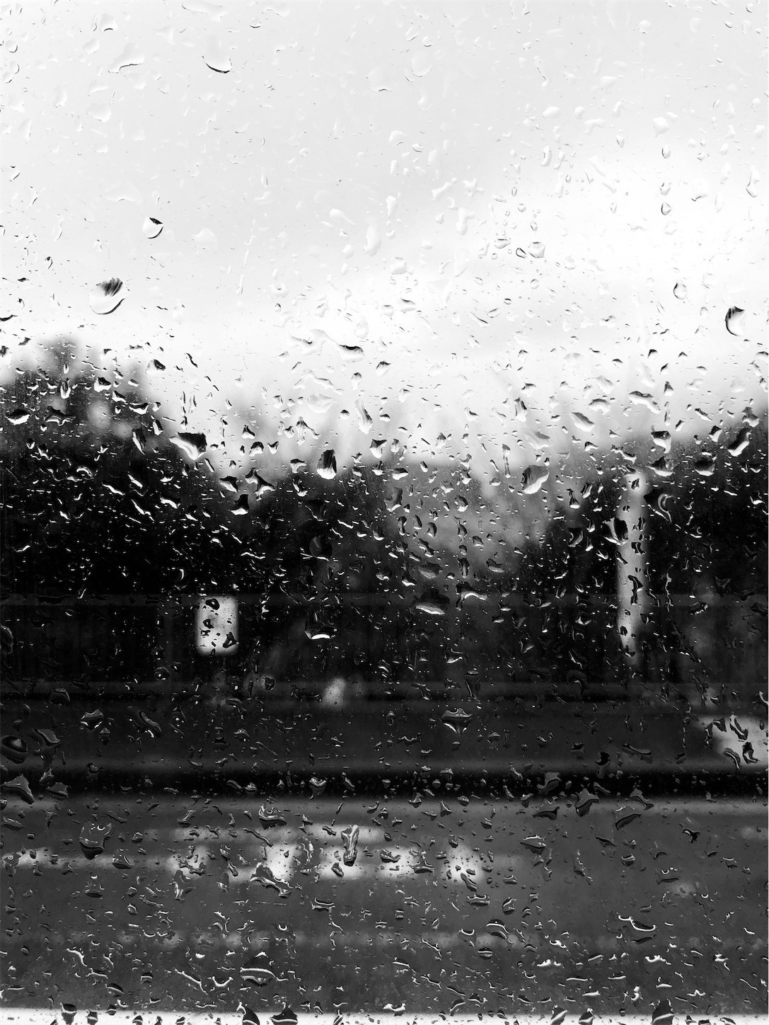 f:id:swordfish-002:20200216123305j:image f:id:swordfish-002:20200216123305j:image