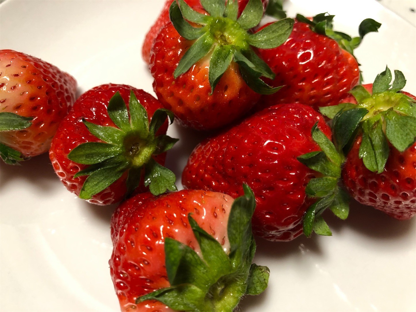 f:id:swordfish-002:20200310124247j:image f:id:swordfish-002:20200310124247j:image