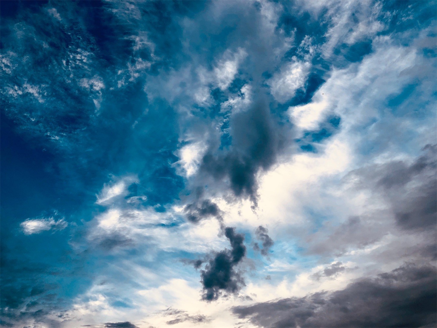 f:id:swordfish-002:20200905211453j:image