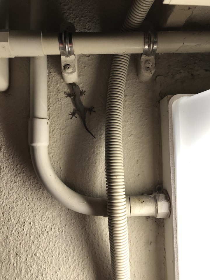 f:id:swordfish-002:20200918134656j:plain f:id:swordfish-002:20200918134656j:plain