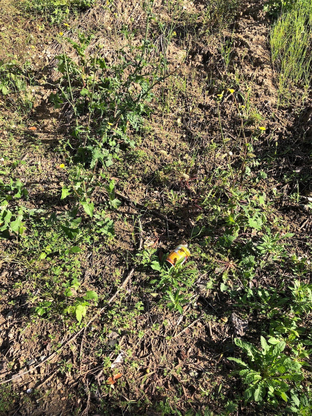 f:id:swordfish-002:20201028191743j:image f:id:swordfish-002:20201028191743j:image