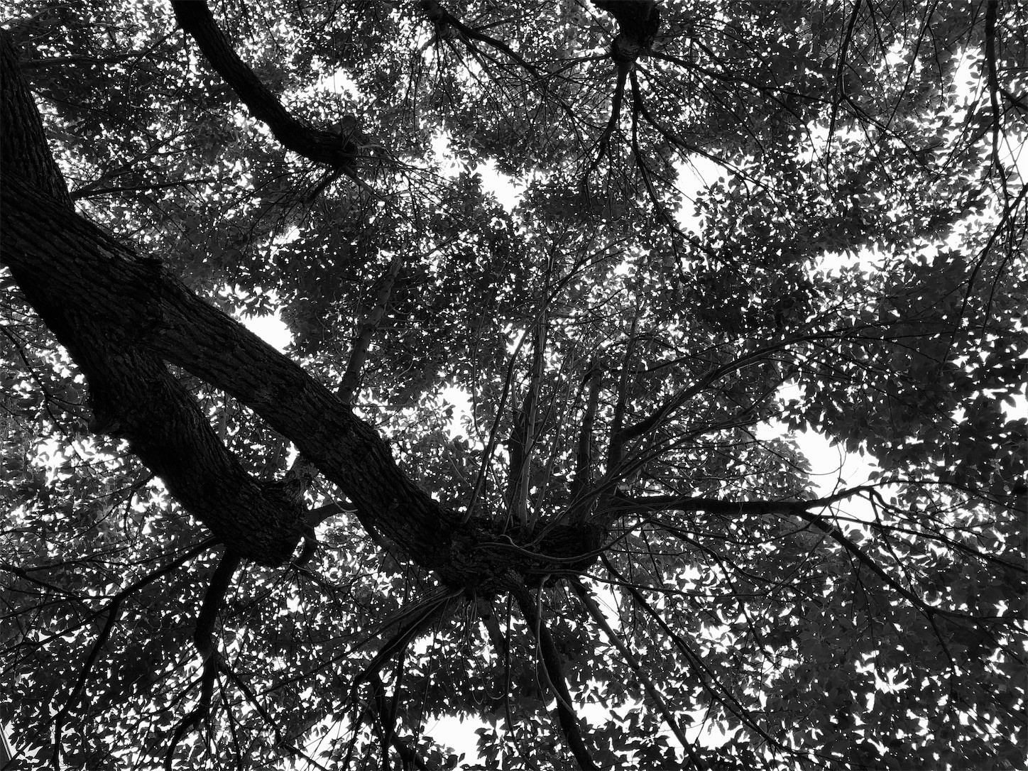 f:id:swordfish-002:20201127210522j:image f:id:swordfish-002:20201127210522j:image