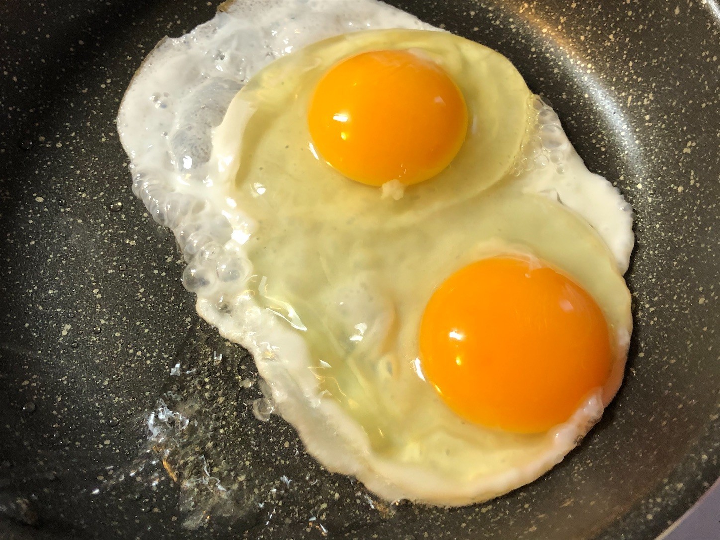 f:id:swordfish-002:20210219182306j:image f:id:swordfish-002:20210219182306j:image