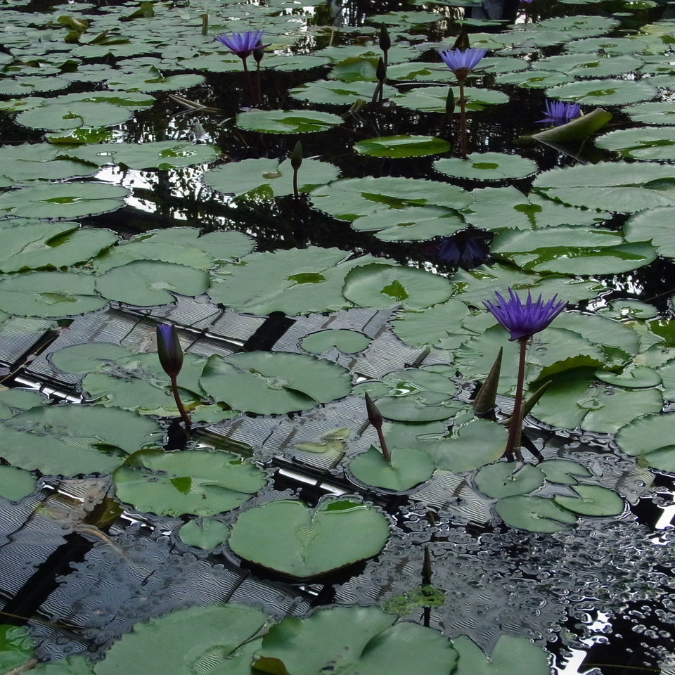 f:id:swordfish-002:20210306111232j:plain