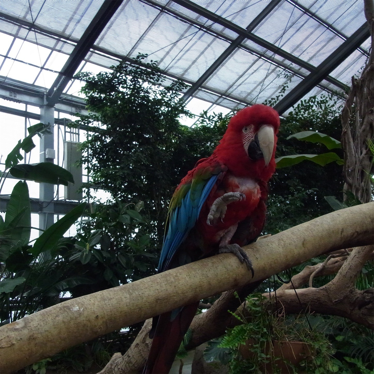 f:id:swordfish-002:20210309195004j:image f:id:swordfish-002:20210309195004j:image