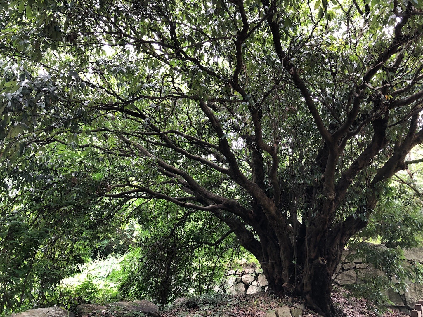 f:id:swordfish-002:20210710182912j:image f:id:swordfish-002:20210710182912j:image