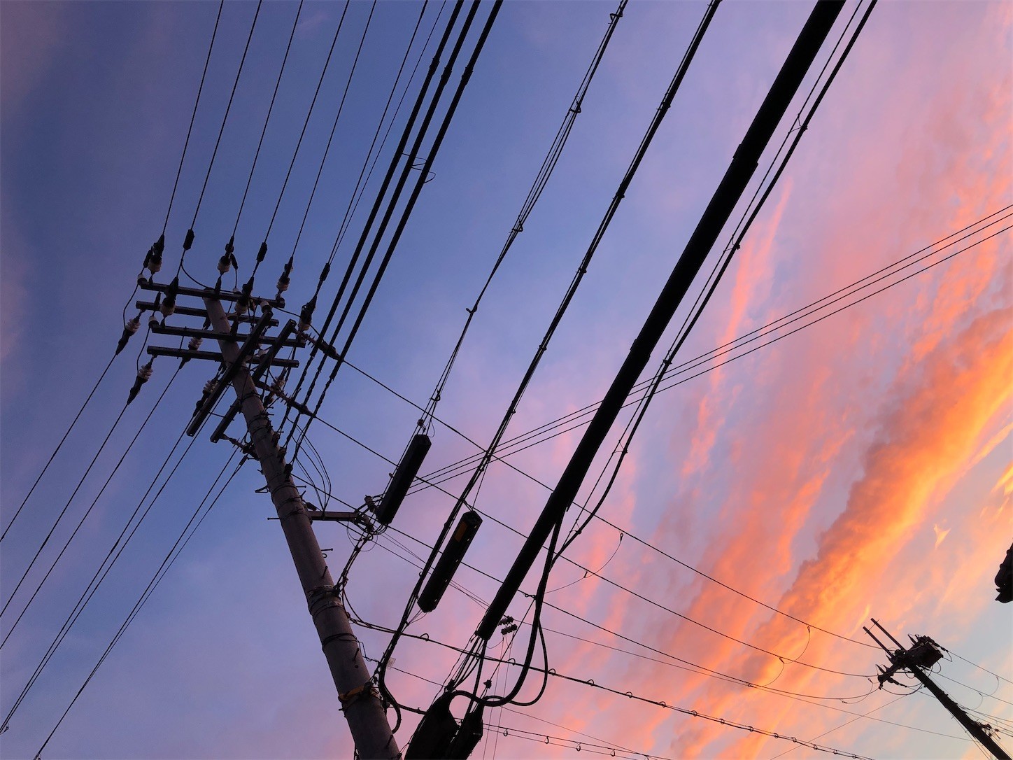 f:id:swordfish-002:20210716211555j:image f:id:swordfish-002:20210716211555j:image