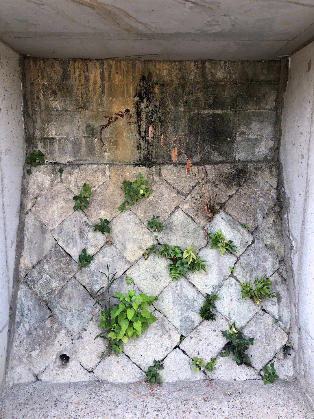 f:id:swordfish-002:20210731192937j:image f:id:swordfish-002:20210731192937j:image