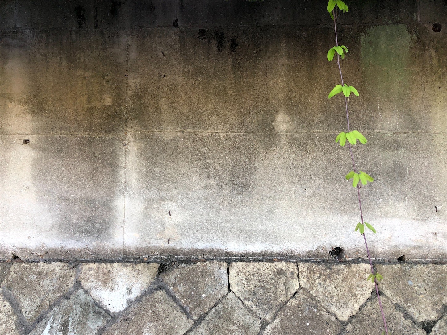 f:id:swordfish-002:20211014182503j:image f:id:swordfish-002:20211014182503j:image