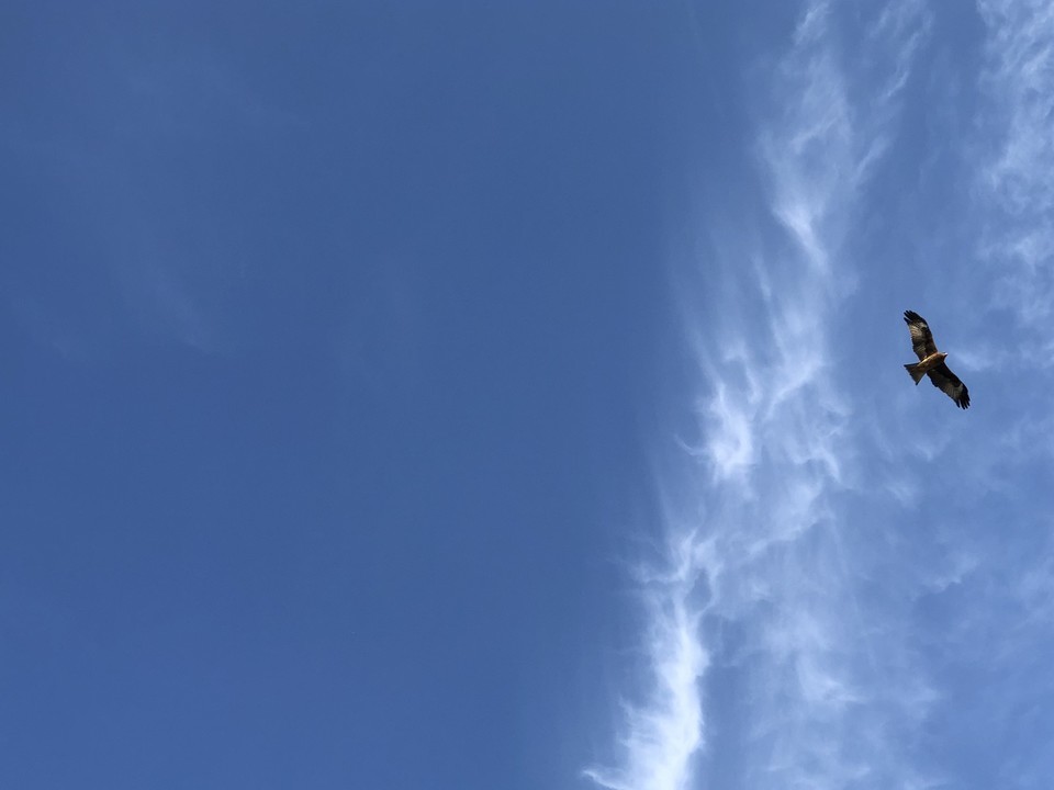 f:id:swordfish-002:20211121054438j:plain