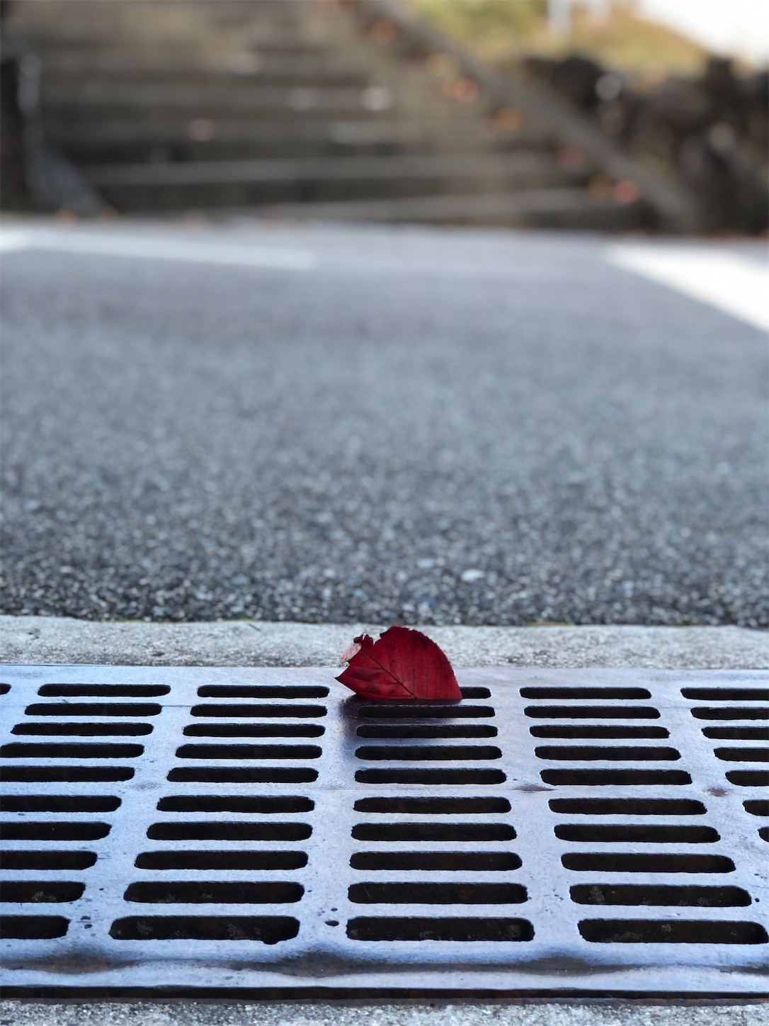 f:id:swordfish-002:20211124210255j:image f:id:swordfish-002:20211124210255j:image