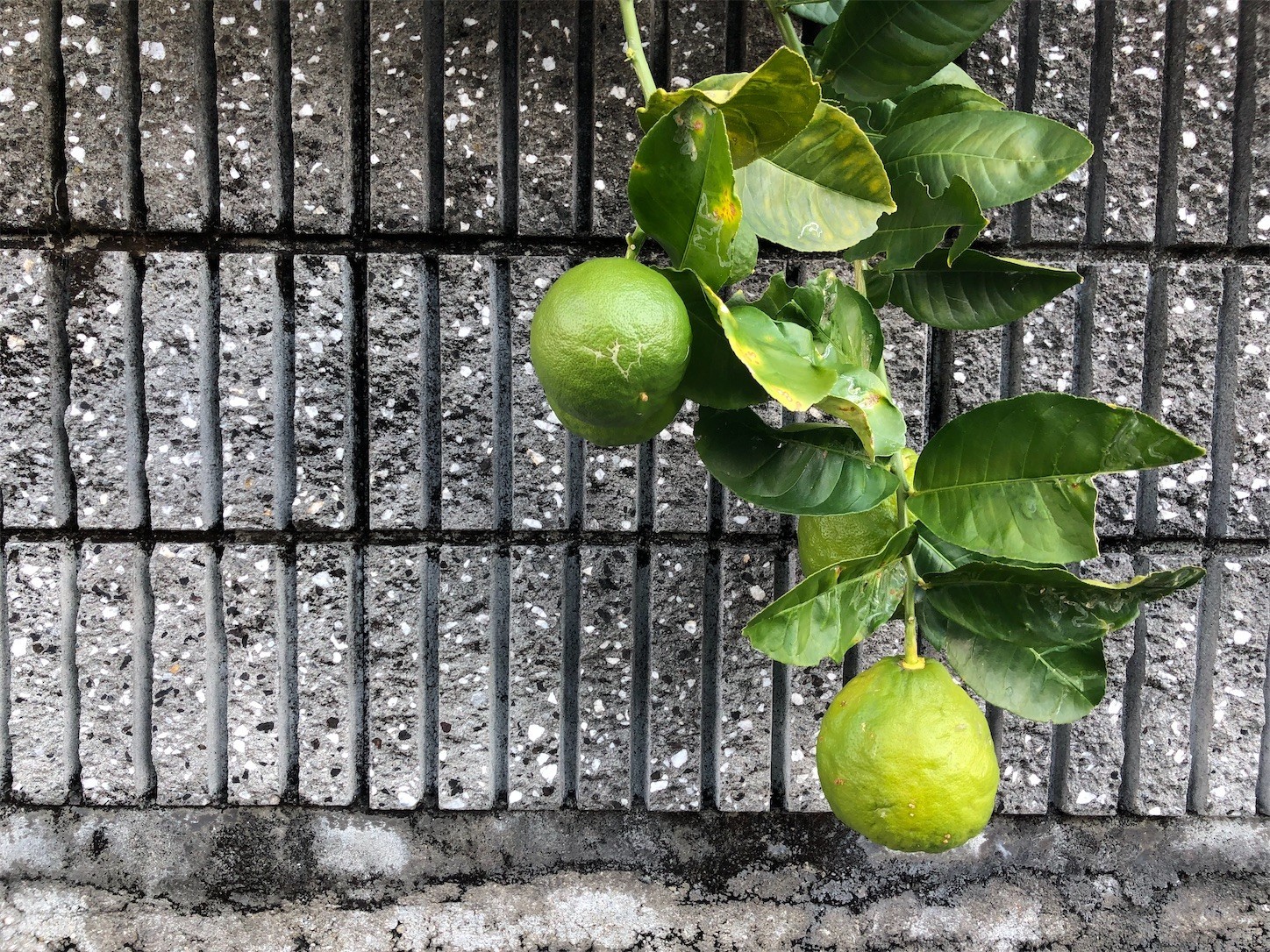 f:id:swordfish-002:20211204190538j:image f:id:swordfish-002:20211204190538j:image