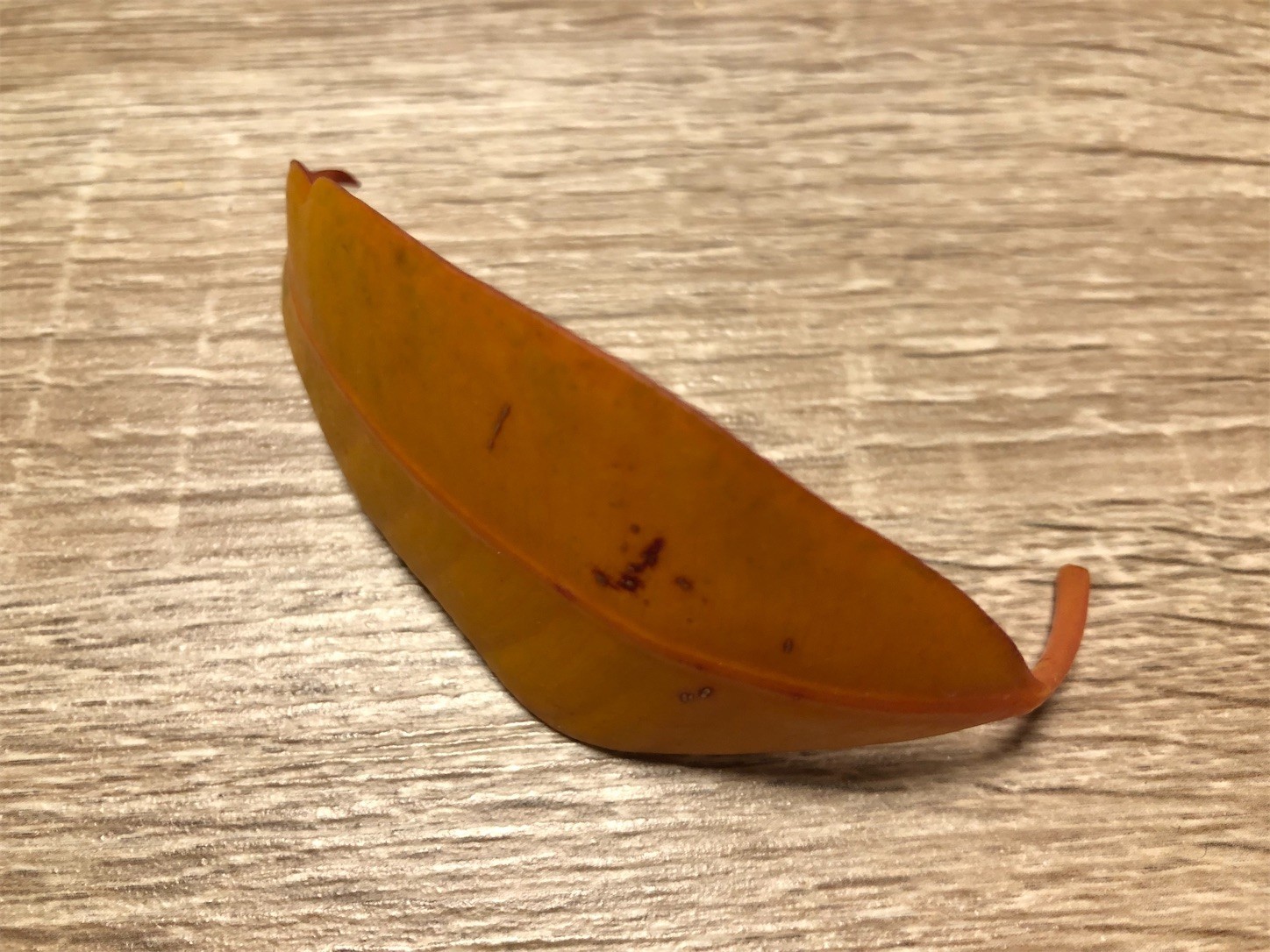 f:id:swordfish-002:20211226183054j:image f:id:swordfish-002:20211226183054j:image