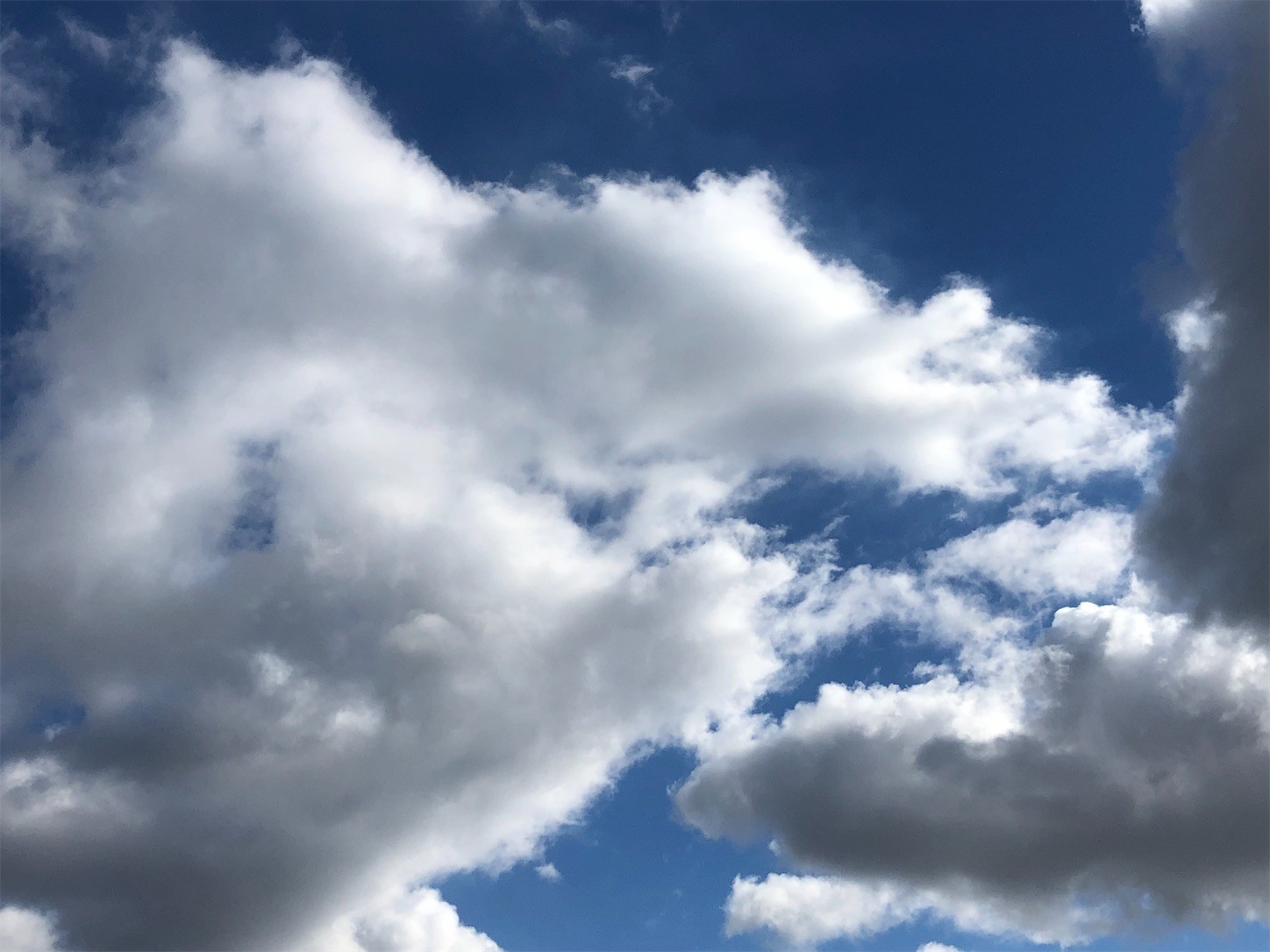 f:id:swordfish-002:20211227180121j:image f:id:swordfish-002:20211227180121j:image