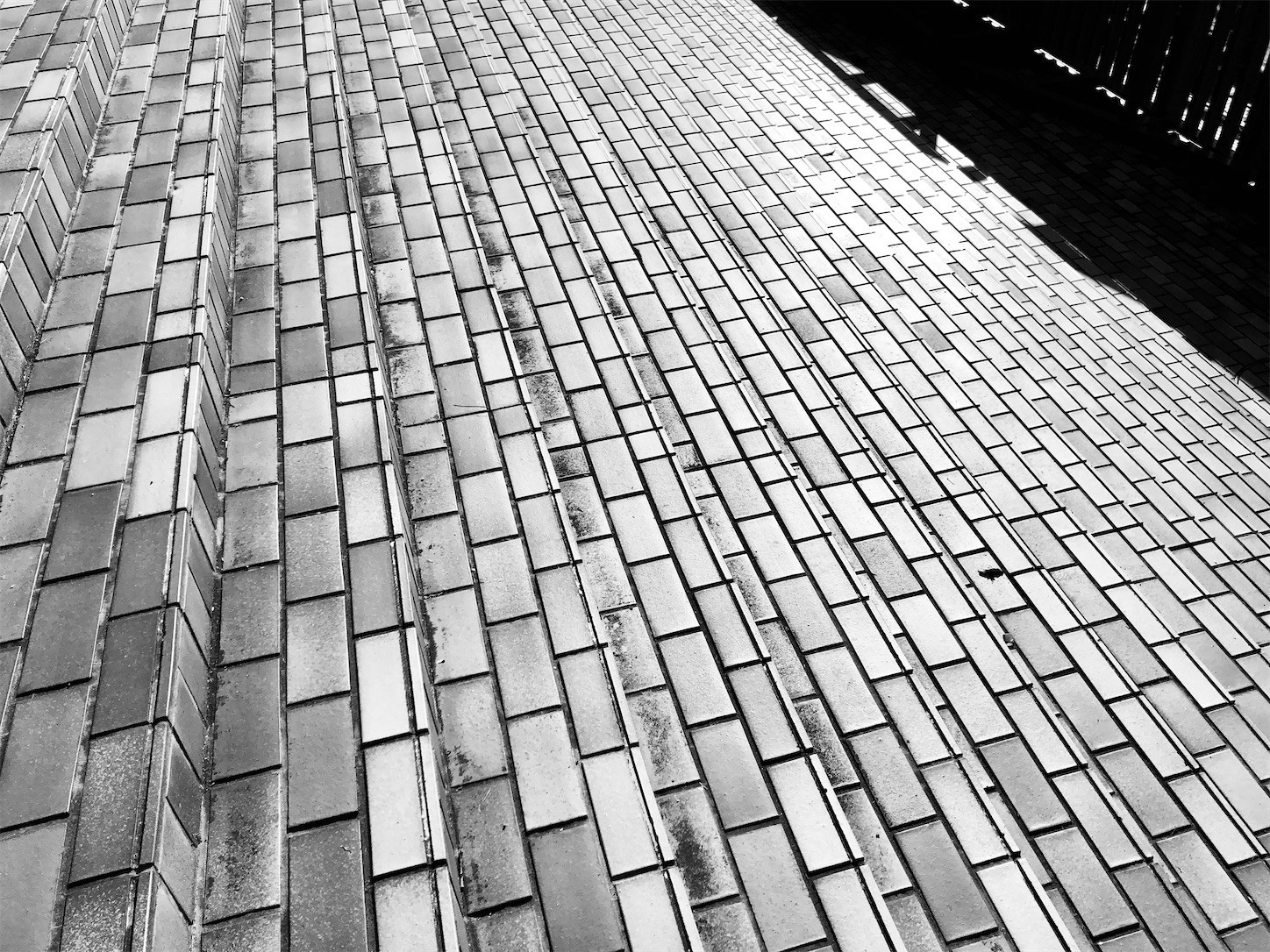 f:id:swordfish-002:20220124195411j:image f:id:swordfish-002:20220124195411j:image