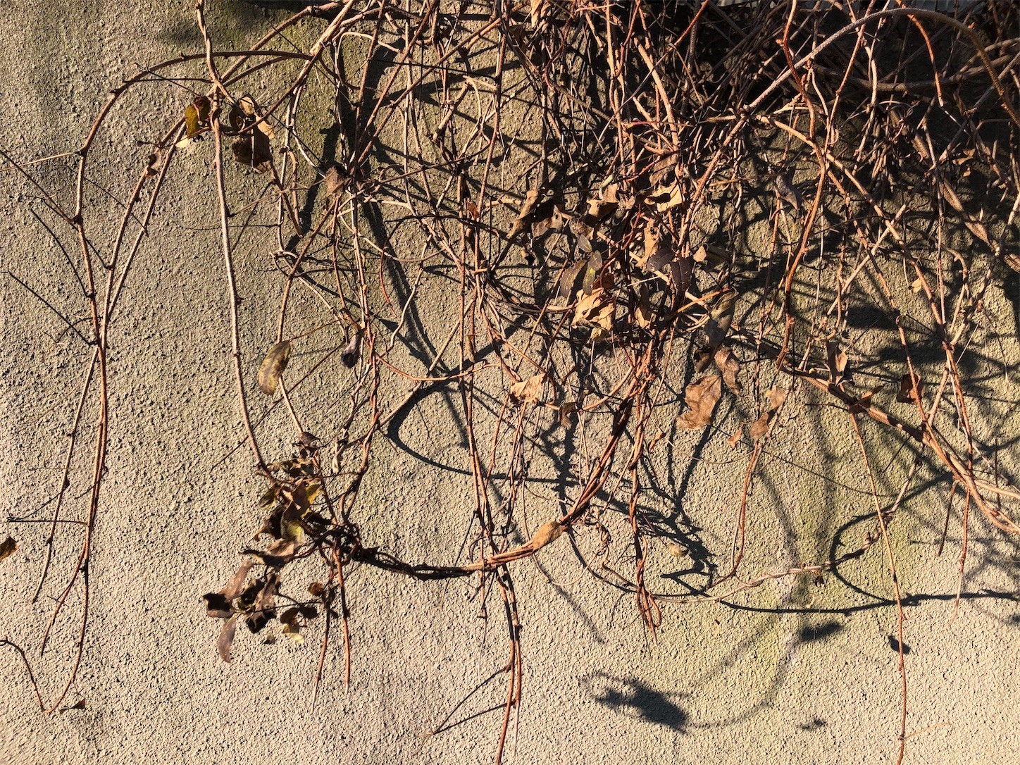 f:id:swordfish-002:20220206213048j:image f:id:swordfish-002:20220206213048j:image