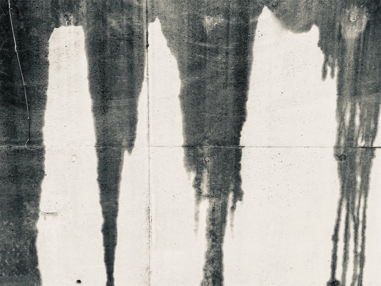 f:id:swordfish-002:20220322183306j:image f:id:swordfish-002:20220322183306j:image