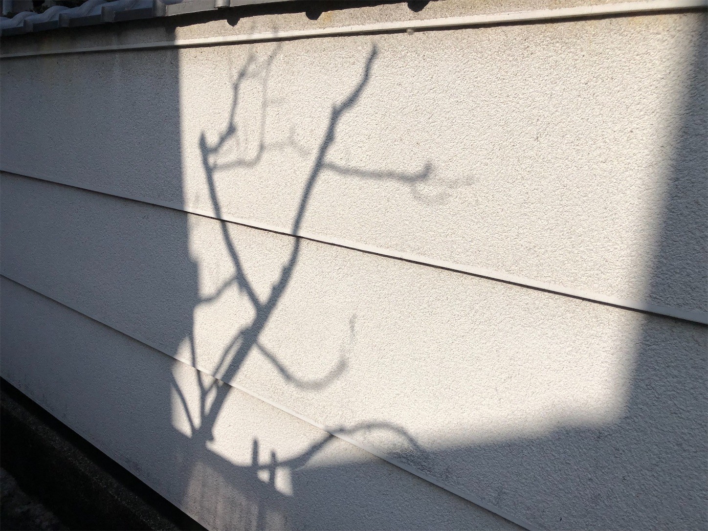 f:id:swordfish-002:20220330231955j:image f:id:swordfish-002:20220330231955j:image