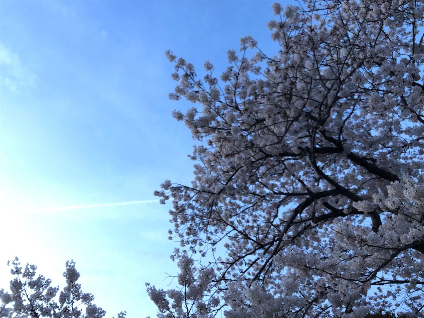 f:id:swordfish-002:20220405211443j:image f:id:swordfish-002:20220405211443j:image