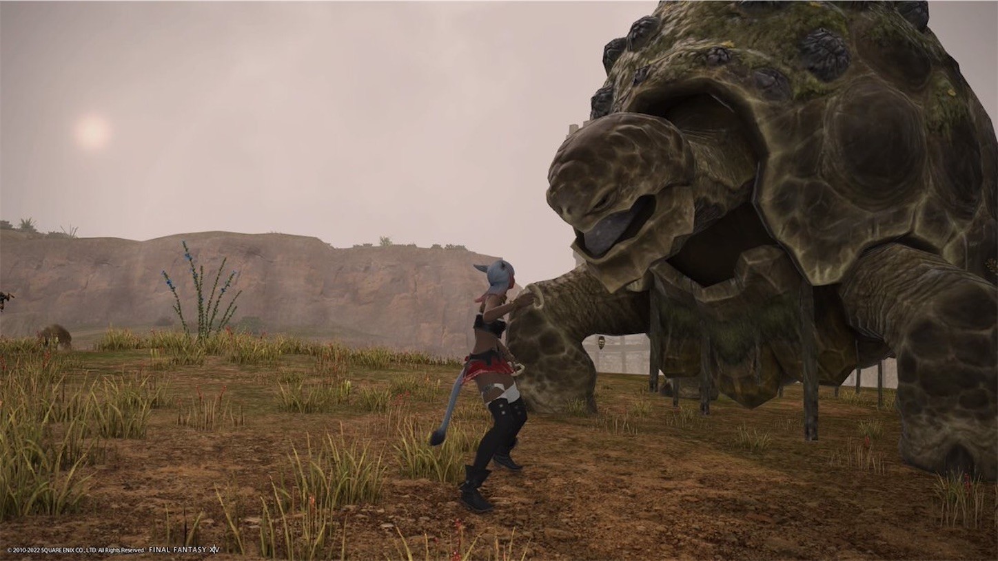 f:id:swordfish-002:20220511082646j:image f:id:swordfish-002:20220511082646j:image