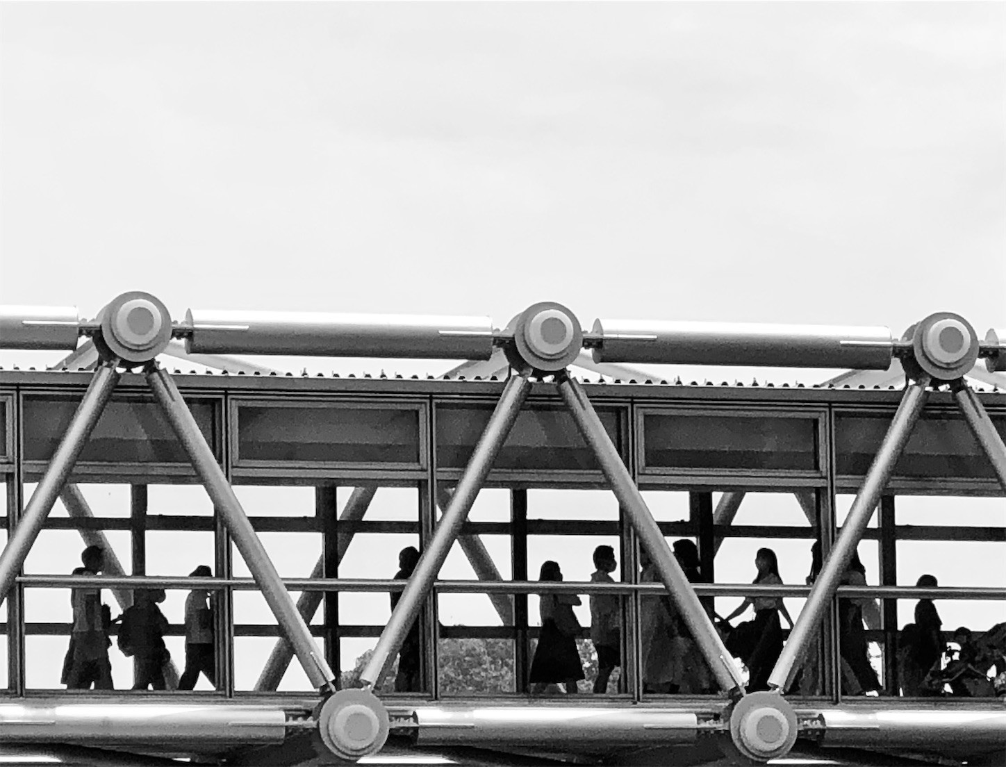 f:id:swordfish-002:20220714200447j:image f:id:swordfish-002:20220714200447j:image