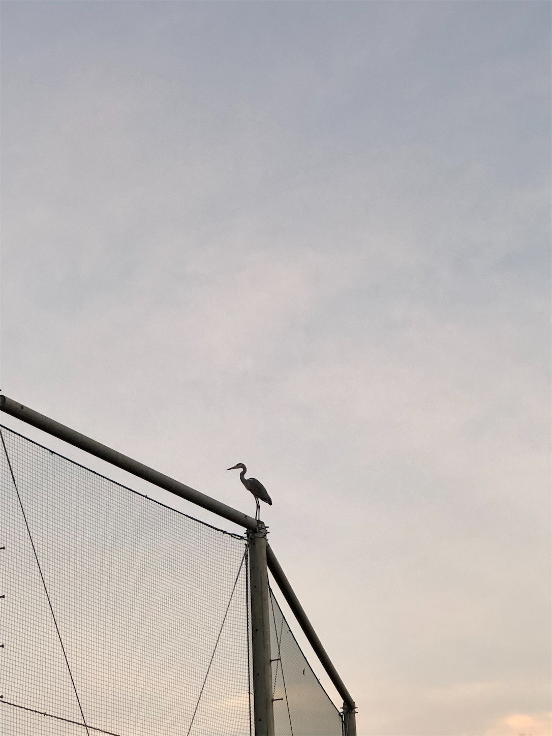 f:id:swordfish-002:20220724201719j:image f:id:swordfish-002:20220724201719j:image