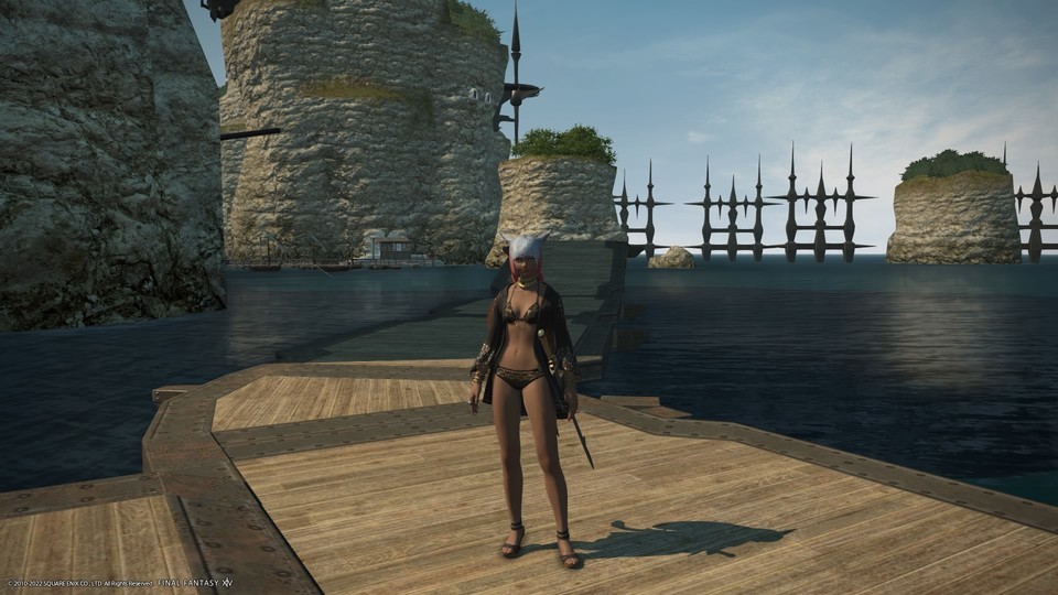 紅蓮祭報酬の水着