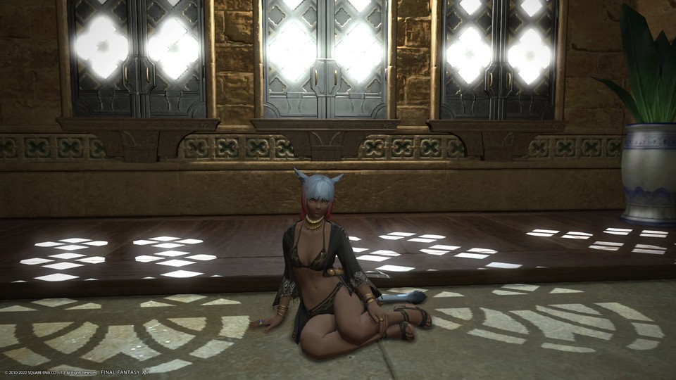 サービスショット