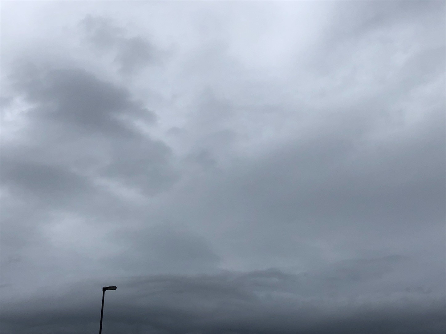 f:id:swordfish-002:20220907214947j:image f:id:swordfish-002:20220907214947j:image