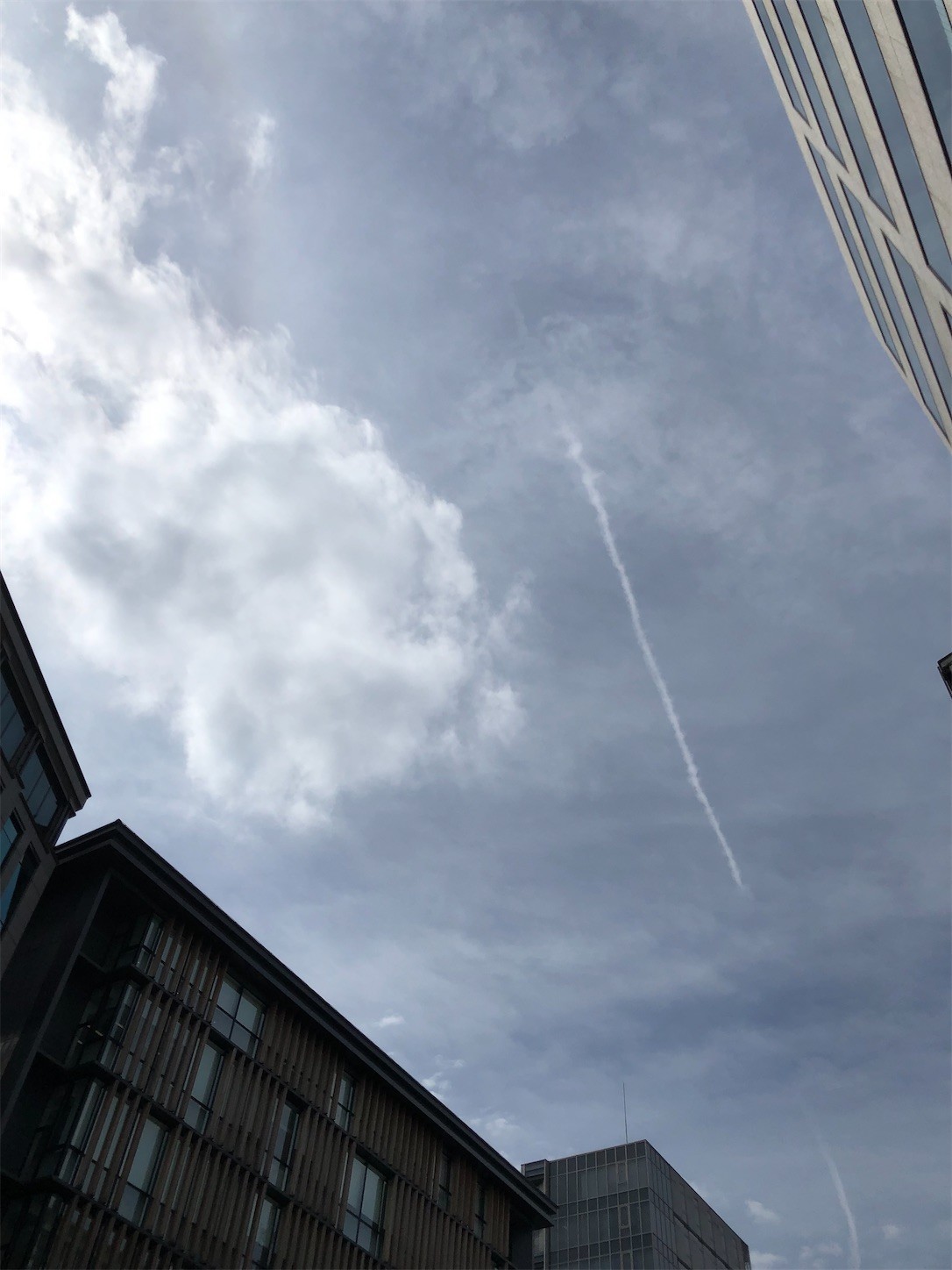 f:id:swordfish-002:20221004171410j:image f:id:swordfish-002:20221004171410j:image