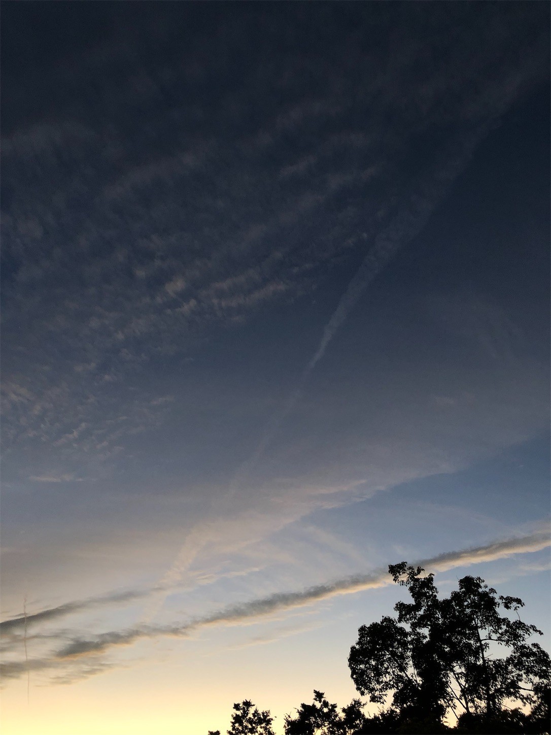 f:id:swordfish-002:20221005181529j:image f:id:swordfish-002:20221005181529j:image