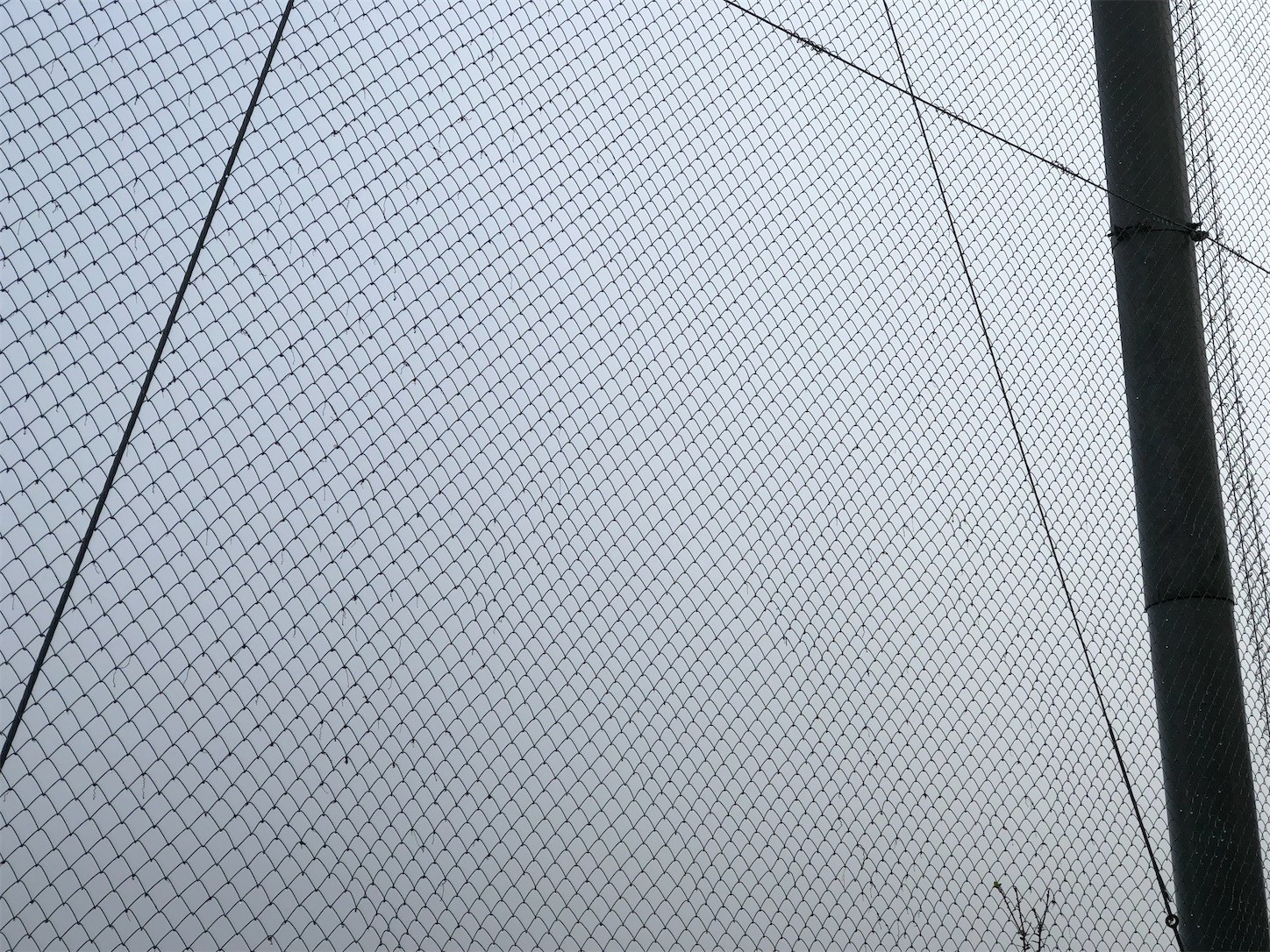 f:id:swordfish-002:20221122195454j:image f:id:swordfish-002:20221122195454j:image